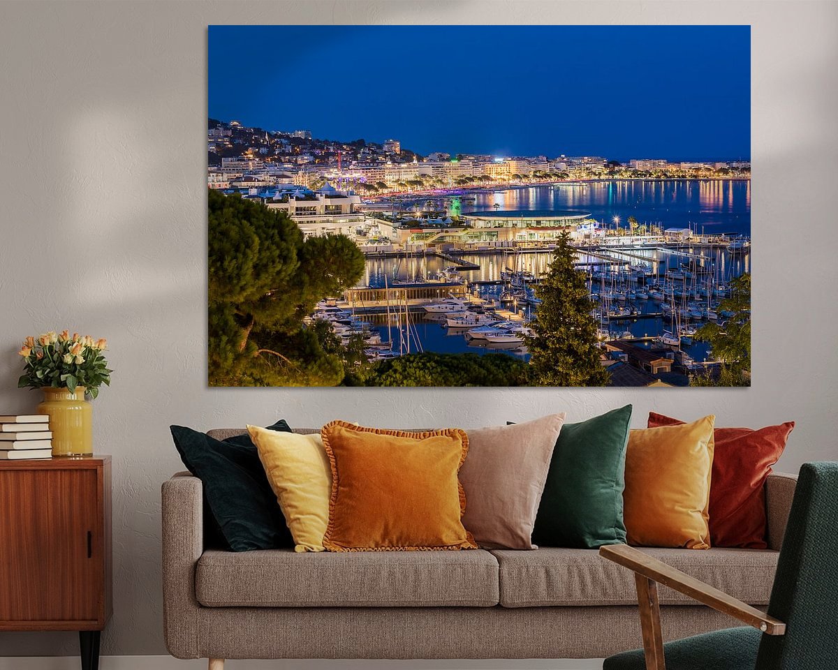 Aperçu de la chambre