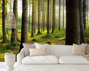 Forest by Günter Albers