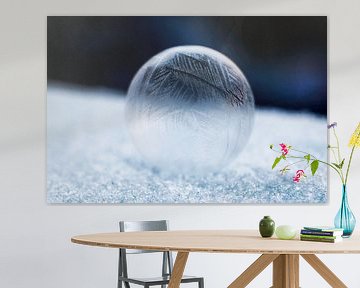 Macrofoto van een bevroren zeepbel van Inge Smulders