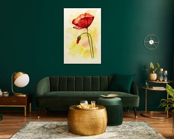 The red poppy (realistic watercolor painting flower plant red yellow fragile bud bright cheerful)