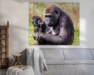 Moeder en kind (gorilla) von Harry van den Brink