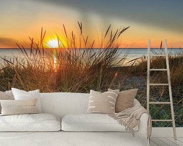 Dune Dream by Werner Reins