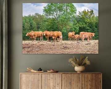 Kudde bruine koeien staan in Duits landschap van Ben Schonewille