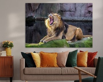 Brullende Leeuw Panthera leo van victor truyts