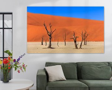 The beautiful Sossusvlei in Namibia (Africa). by Claudio Duarte