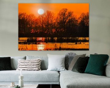 Zonsondergang in oranje tinten van René van der Horst