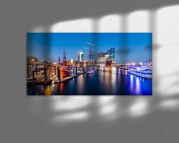 Hamburger Hafen mit der Elbphilharmonie in Hamburg von Werner Dieterich