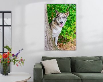 Portret husky hond bij boomstam in natuur