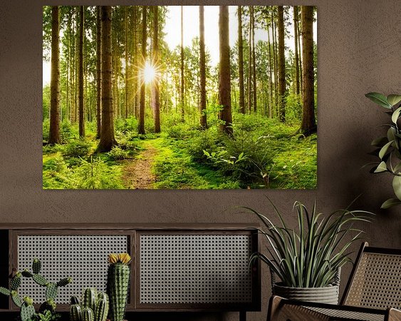 Aperçu de la chambre