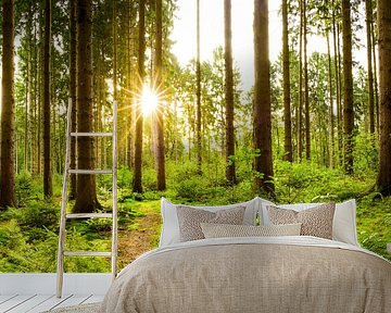 Beautiful forest by Günter Albers