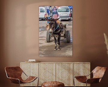 Esel in Marrakesch von marco de Jonge
