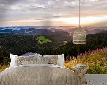 View from the Feldberg mountain over the Black Forest in Germany by Werner Dieterich