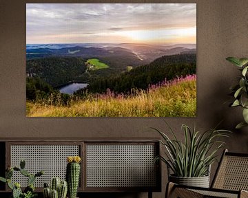 View from the Feldberg mountain over the Black Forest in Germany by Werner Dieterich