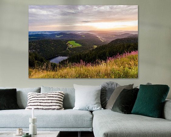 Aperçu de la chambre