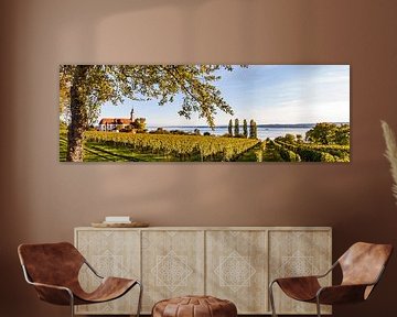 Vineyards and the famous Birnau pilgrimage church at Lake Constance by Werner Dieterich