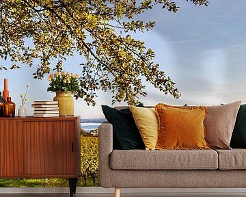 Vineyards and the famous Birnau pilgrimage church at Lake Constance by Werner Dieterich