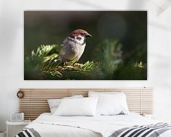 Aperçu de la chambre