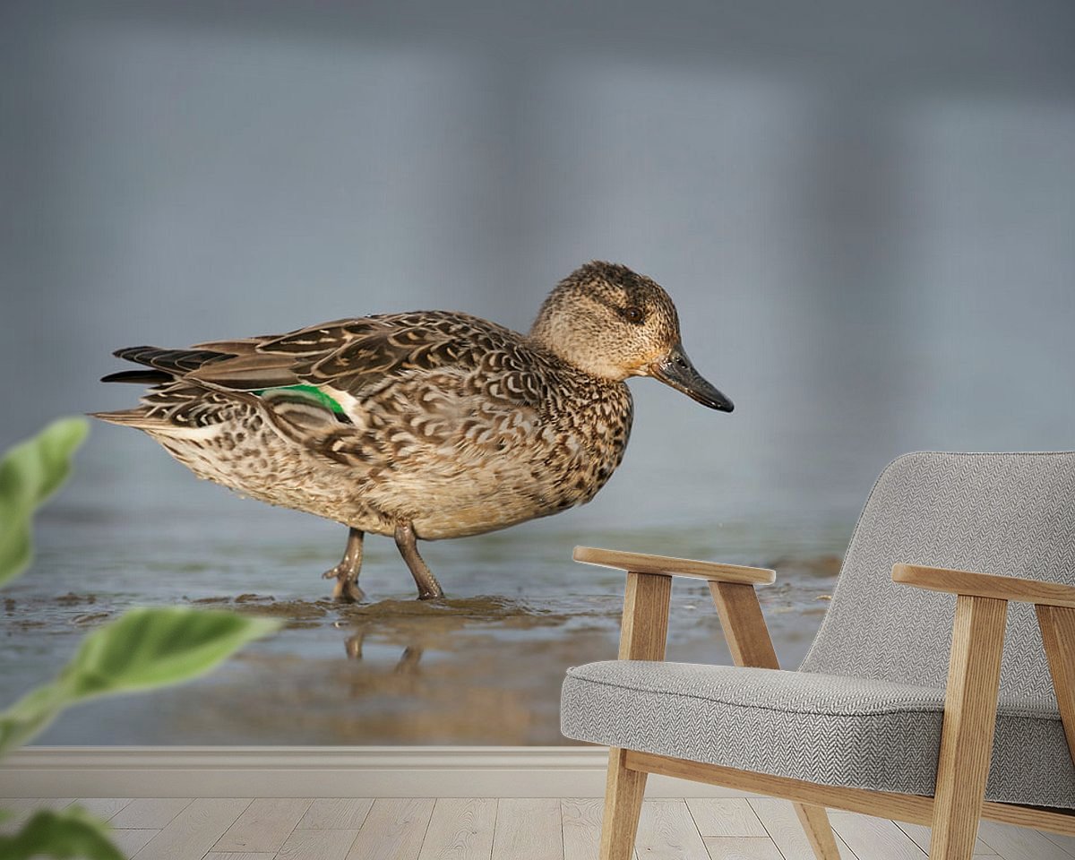 Raumvorschau
