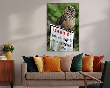 Europese oehoe ( Bubo bubo ), jonge vogel zittend op een waarschuwingsbord "Levensgevaar" 