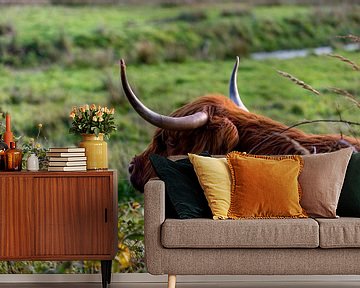 Relax - Schotse Hooglander op Texel van Texel360Fotografie Richard Heerschap