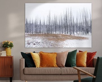 Spikes and grasses Yellowstone von Sjaak den Breeje