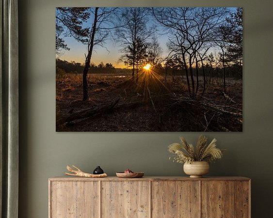 Aperçu de la chambre