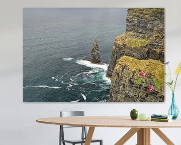 Cliffs of Moher, Ireland sur Babetts Bildergalerie