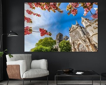 Cherry blossom at Notre-Dame de Paris Cathedral in Paris by Werner Dieterich