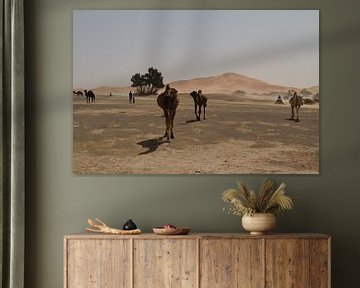 Dromedarissen op de vlucht, Erg Chebbi, Marokko van Lars Bruin