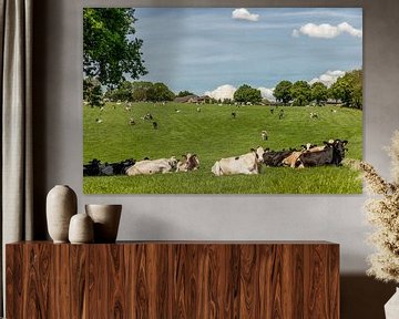 Grazende koeien Bosschenhuizen Zuid-Limburg van John Kreukniet