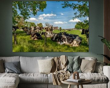 Koeien zoeken schaduw op in Bosschenhuizen Zuid-Limburg van John Kreukniet