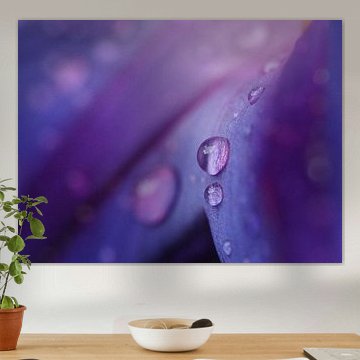 De schoonheid van regen