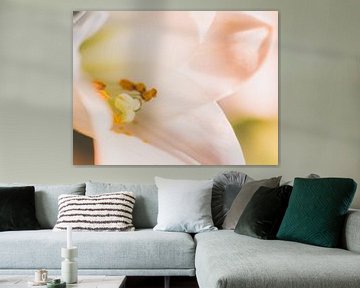 Bloem Lelie / Easter Lily / Lilium Longiflorum Wit Geel Groen Close-Up Macro van Art By Dominic