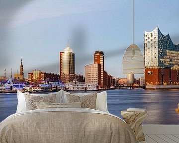 Cityscape with the Elbphilharmonie concert hall in Hamburg by Werner Dieterich