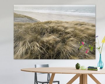 Dutch dunes sur Dirk van Egmond