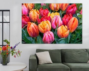 colored tulips by eric van der eijk