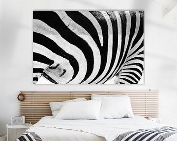 Close-up view of zebra stripes with a black and white pattern by Sjoerd van der Wal Photography