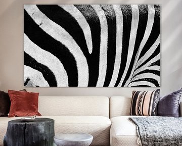 Close-up view of zebra stripes with a black and white pattern by Sjoerd van der Wal Photography