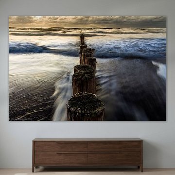 palen van Schoorl in de avond zon