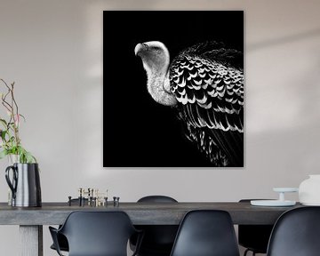 Vale gier, zwart wit fotografie van Rian Verweijmeren