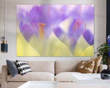 Crocuses creative by Francis Dost