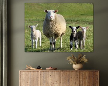 Mother Sheep with Lambs by Charlene van Koesveld