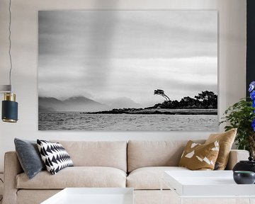 Chile - Lonely tree in the Strait of Magellan von Jack Koning