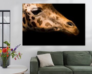 Giraffe van Saskia Staal