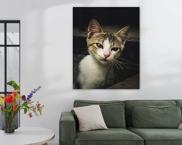 Portret van een kat van Bert Broer