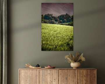 Grainfield by Nanouk el Gamal - Wijchers (Photonook)