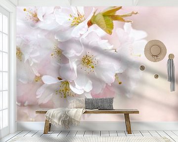 Spring by Violetta Honkisz