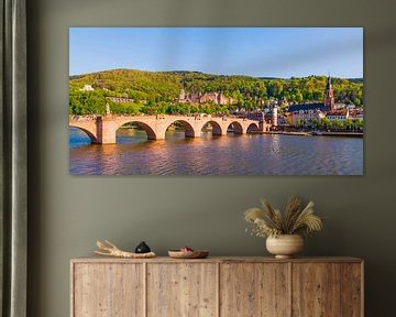 Oude brug en kasteel in Heidelberg van Werner Dieterich