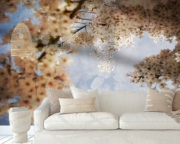 Droom bloesem in Westerpark