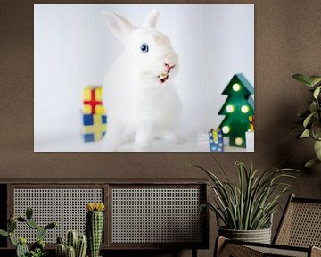 Christmas rabbit von Maxime Jaarsveld